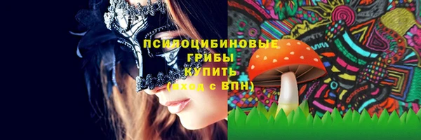 скорость Гусев