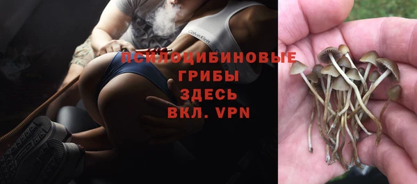 твердый Гусиноозёрск