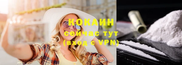 скорость Гусев
