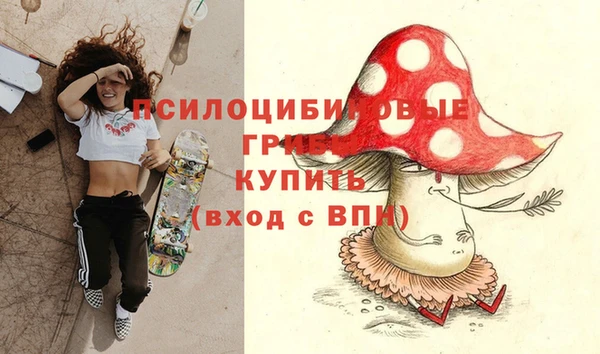 бошки Дмитров