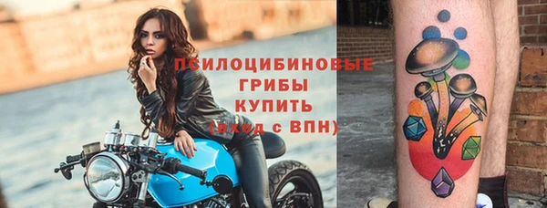 скорость Гусев